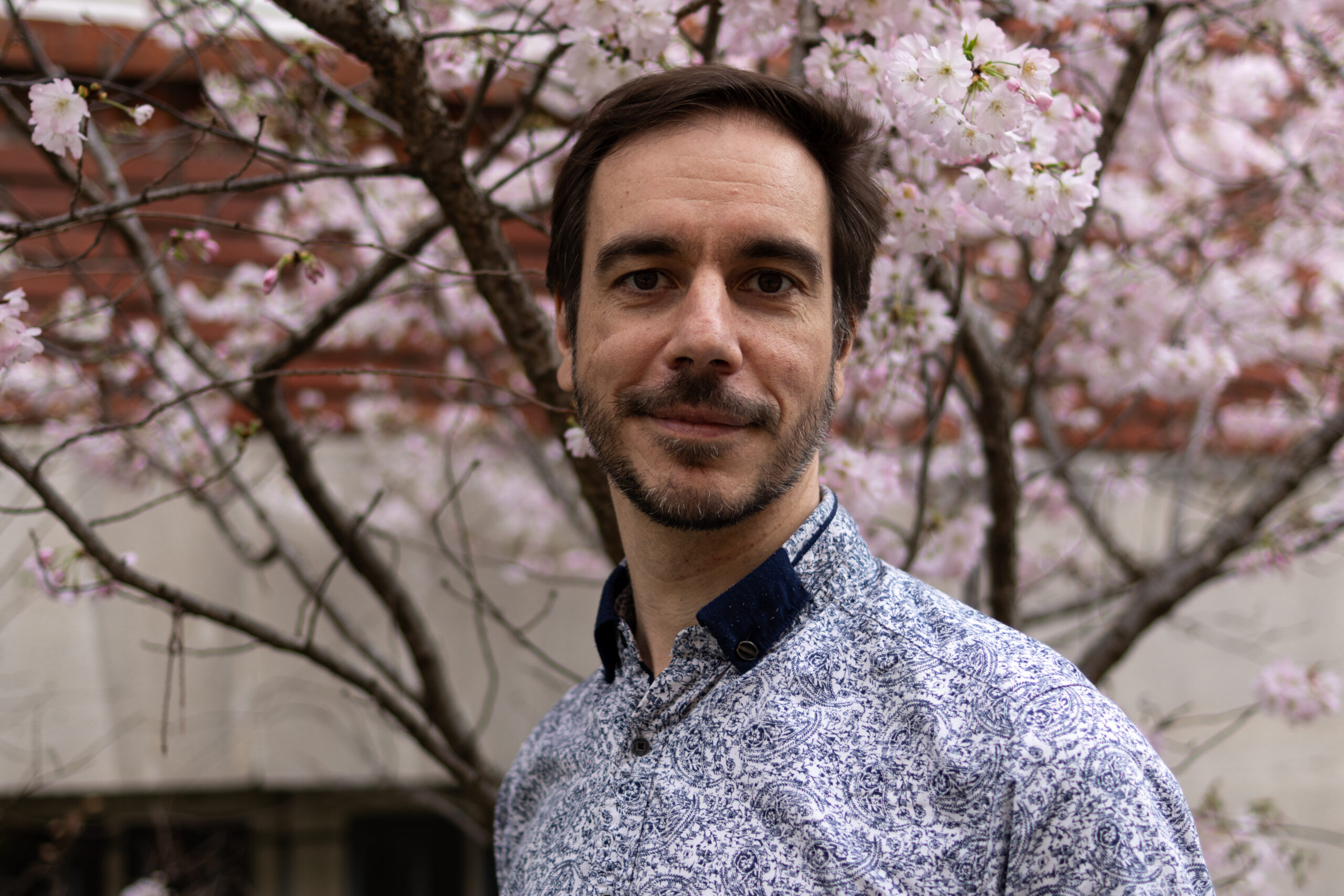 Rémi Coulon